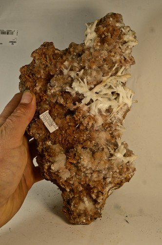 Aragonite mine salsigne - mine, de