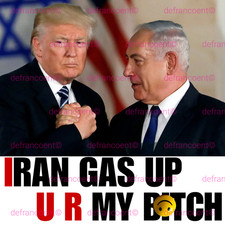Gas Stickers Trump I Did That