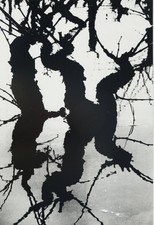 Lucien CLERGUE : Le Marais