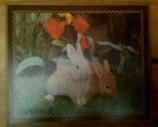 Boite de cubes (30) Garnier