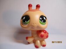 PETSHOP COCCINELLE N°2416