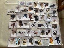 IMAGE PANINI AUTOCOLLANT