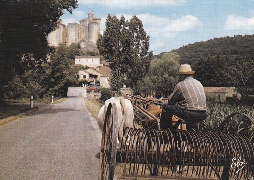 Carte postale 10x15cm postcard