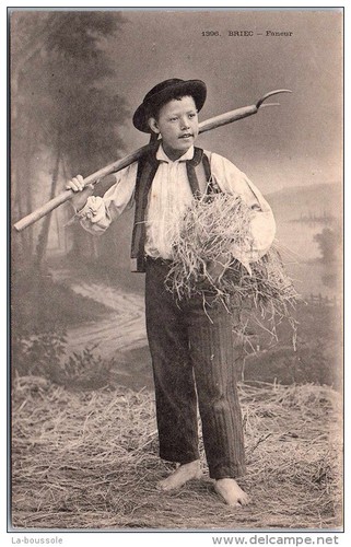 Briec petit faneur - briec,