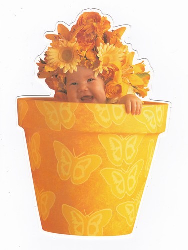 Bebe anne geddes - bebe,