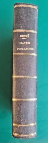 Les plantes fourragères de - fourragères,,