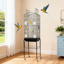 Grande cage à oiseaux cage à