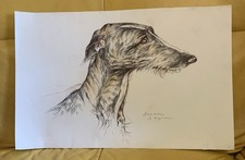 Dessin Animalier Lévrier par
