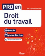 Pro en Droit du travail 150 Outils Et 15 Plans D'Action