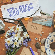 Vinile - Fennec - Momentary