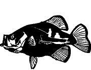 Autocollant sticker vinyle