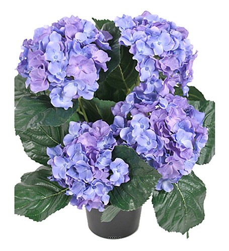 Hortensia pot artificiel - en,