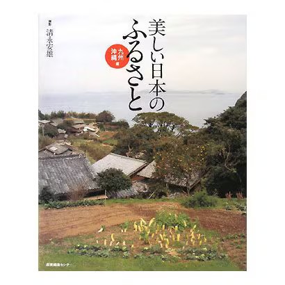 Guide voyage kyushu okinawa - voyage,