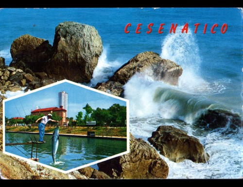 Cesenatico aquarium - (, italie)