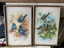 2 Anciens Cadre Oiseaux Signe Deco Vintage 