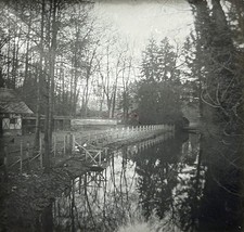 FRANCE Paysage Sous-Bois