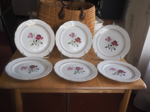 Assiettes plates dlg - 4,