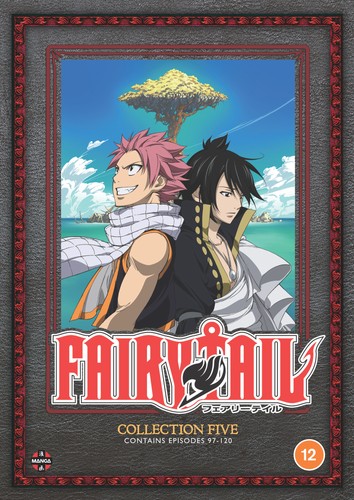 Fairy tail collection - collection, (dvd)