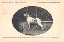 CPA 44 MOISDON LA RIVIERE / CHENIL DE LA FORET PAVEE / LE COB COUIC / EPAGNEUL