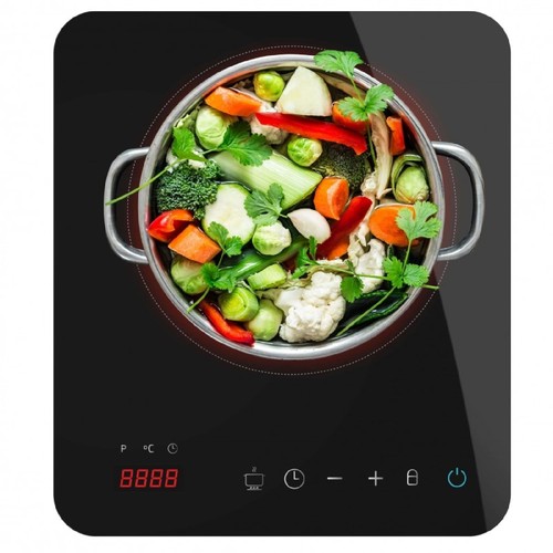 Plaque induction portable 1 - plaque,