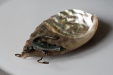 Vide poche ancien coquillage