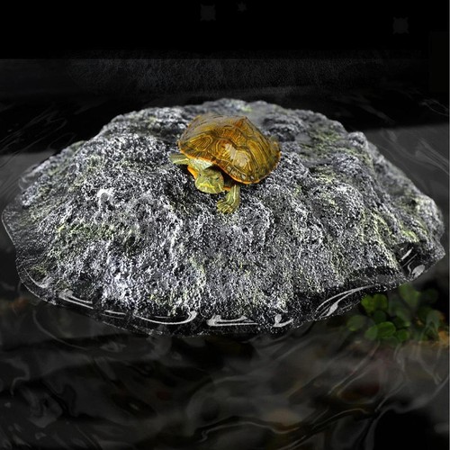 Aquarium pour tortues - pour, et