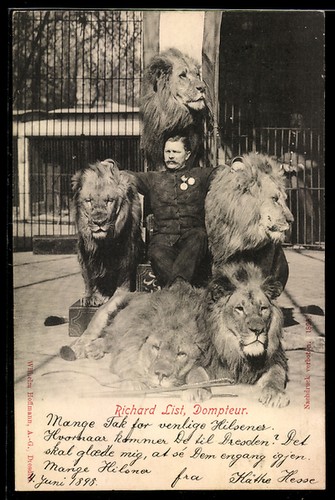 Carte postale dresde cirque - postale, dresde,