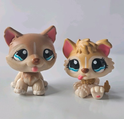 Lot pet shop - lot,