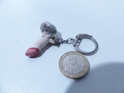 Porte clé zizi - porte,