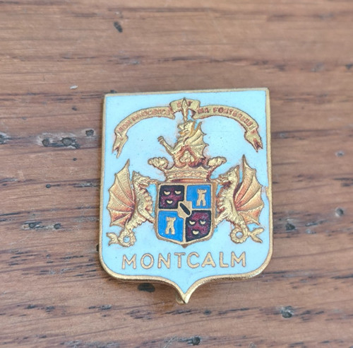 Insigne marine croiseur - marine,
