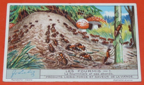 Chromo 1932 liebig serie 1263 - liebig,