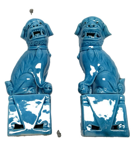 Paire petits chiens fo - paire,