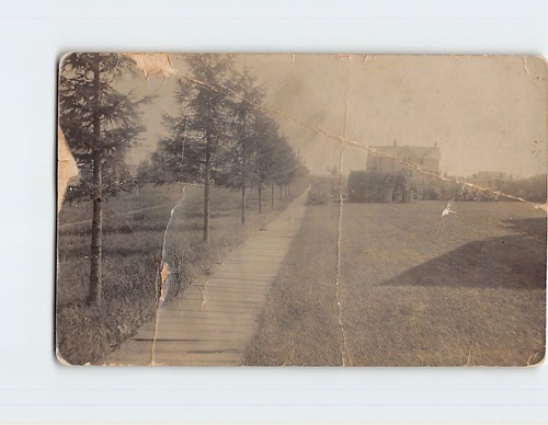 Postcard vintage picture - postcard,