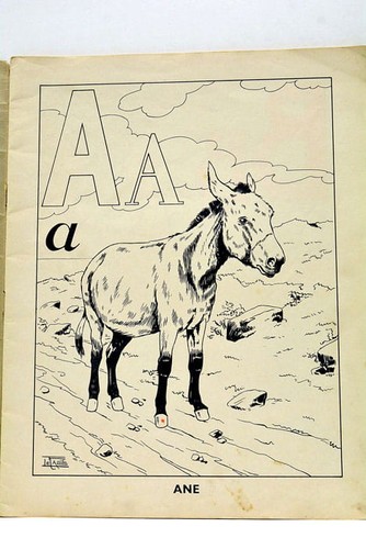 Les animaux abc cahier - en,