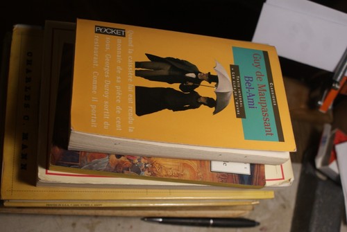 Livre bel ami guy de - livre,