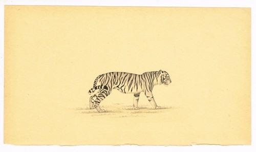 Indien miniature ancien - indien,