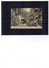 France carte postale ancienne neuve. Gérardmer "dans la grande tranchée".