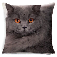 Taie d'oreiller housse de coussin chat  45x45 cm 