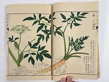 Livre imprimé japonais sur bois "Honzo-Zufu vol.3" Atlas botanique d'Edo Vintage