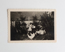 Fille nourrit poules