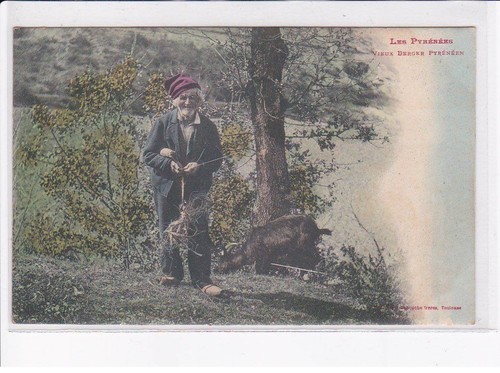 Hautes pyrenees berger - pyrenees:, un
