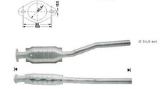 Catalyseur Neuf Renault