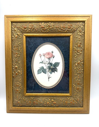 Redouté rosa gallica - redouté,