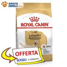 Royal Canin Chien → Adult