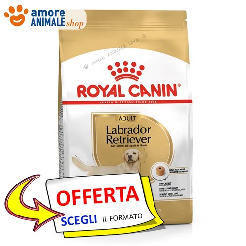 Royal canin chien adult - chien, →