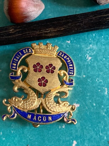 Insigne amicale des dauphinois - amicale,
