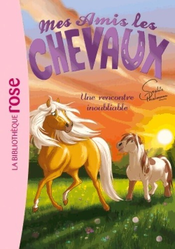 Mes amis les chevaux - tome, vi