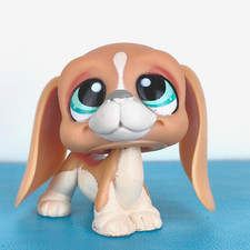 Authentic littlest pet - authentic, shop