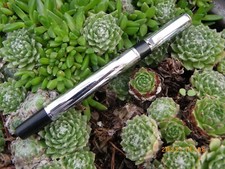 * STYLO ROLLER WATERMAN