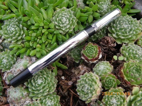 Stylo roller waterman - *,